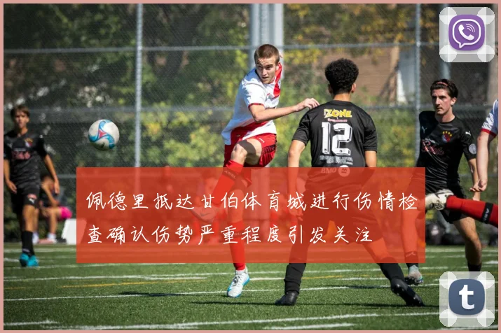 佩德里抵达甘伯体育城进行伤情检查确认伤势严重程度引发关注