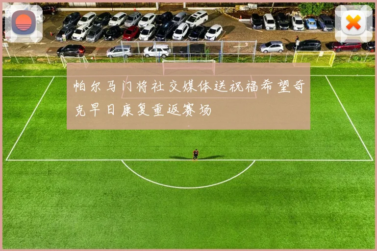 帕尔马门将社交媒体送祝福希望奇克早日康复重返赛场